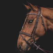 Equiline Trense JP Anatomisch Light Braun