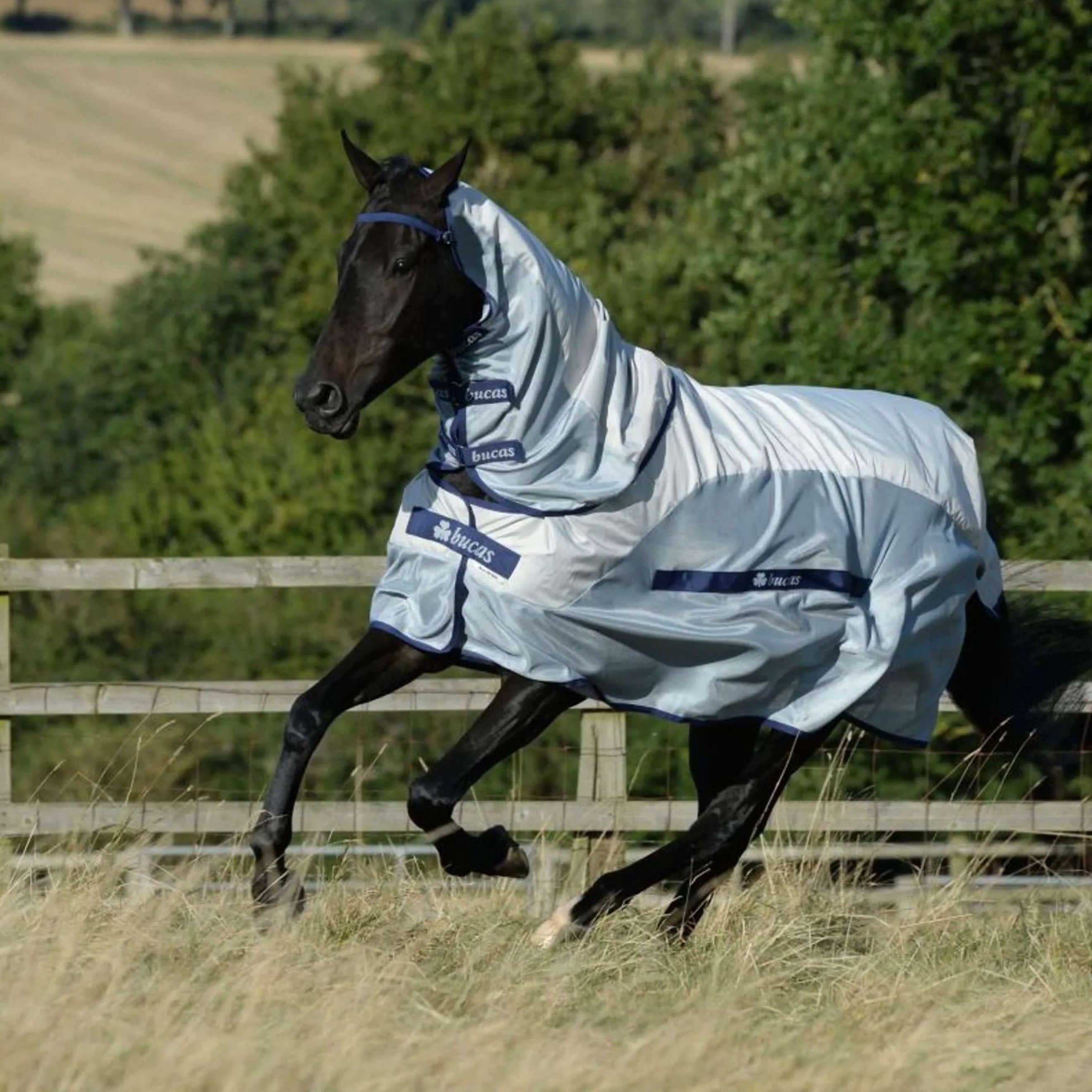 Bucas Buzz-Off Rain & Neck 0g Silber/Blau