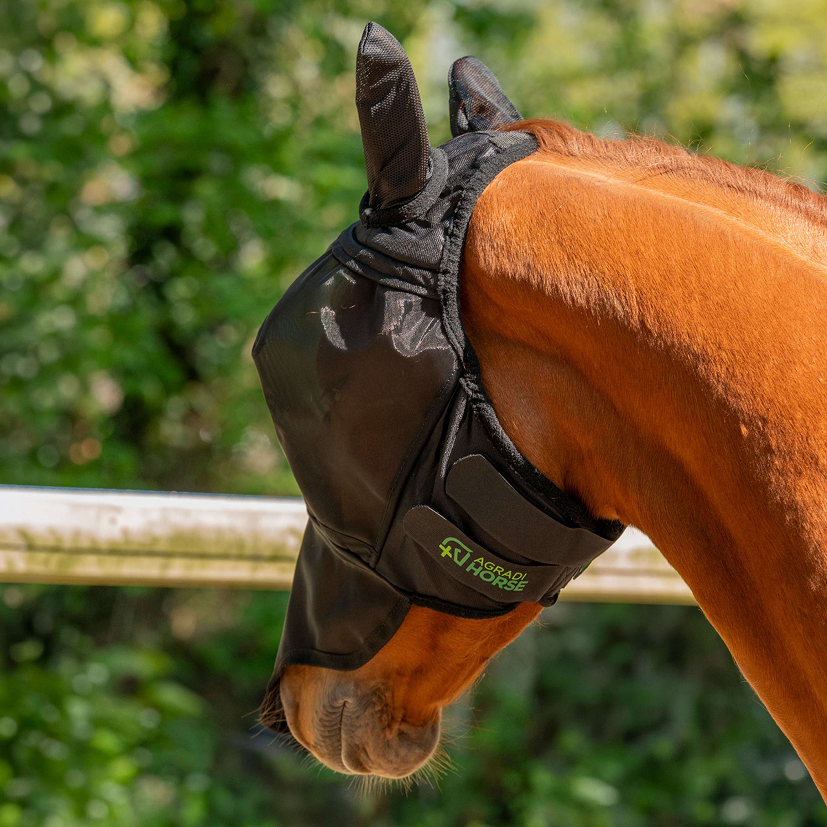 Agradi Horse Fliegenmaske Fine Mesh mit Ohren und Nase Schwarz Agradi Horse Fliegenmaske Fine Mesh mit Ohren und Nase Schwarz