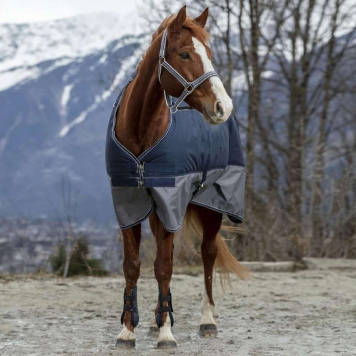 EQUITHÈME Regendecke Tyrex 600D 50g Navy/Grau Dots