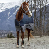 EQUITHÈME Regendecke Tyrex 600D 50g Navy/Grau Dots