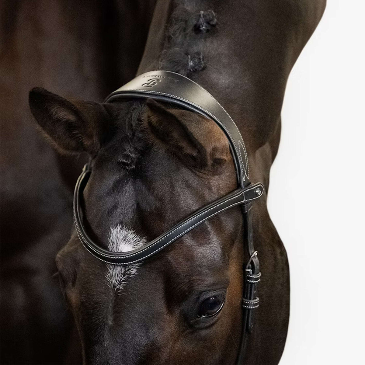 PS of Sweden Trense Helsinki Schwarz