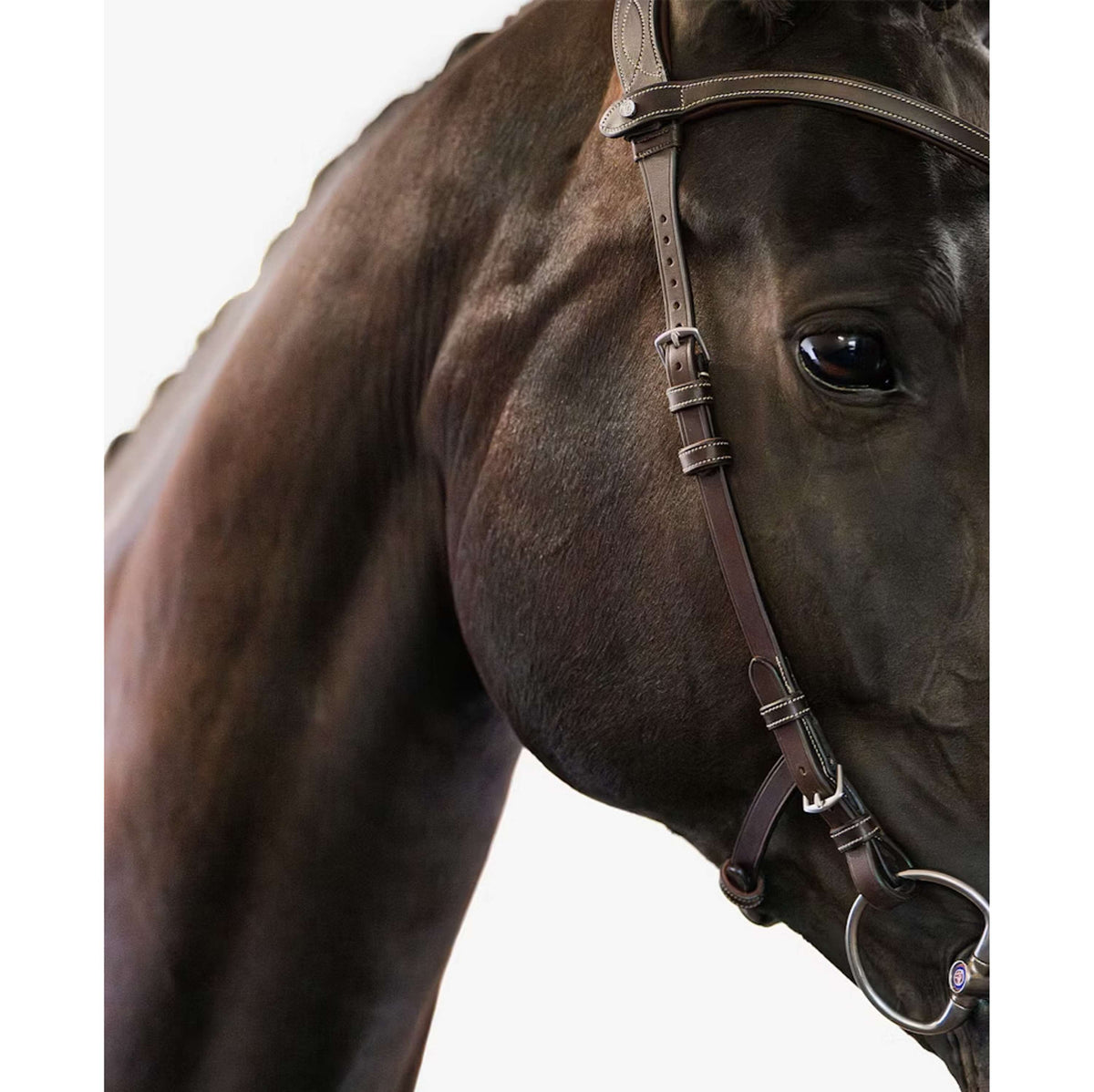 PS of Sweden Trense Helsinki Braun