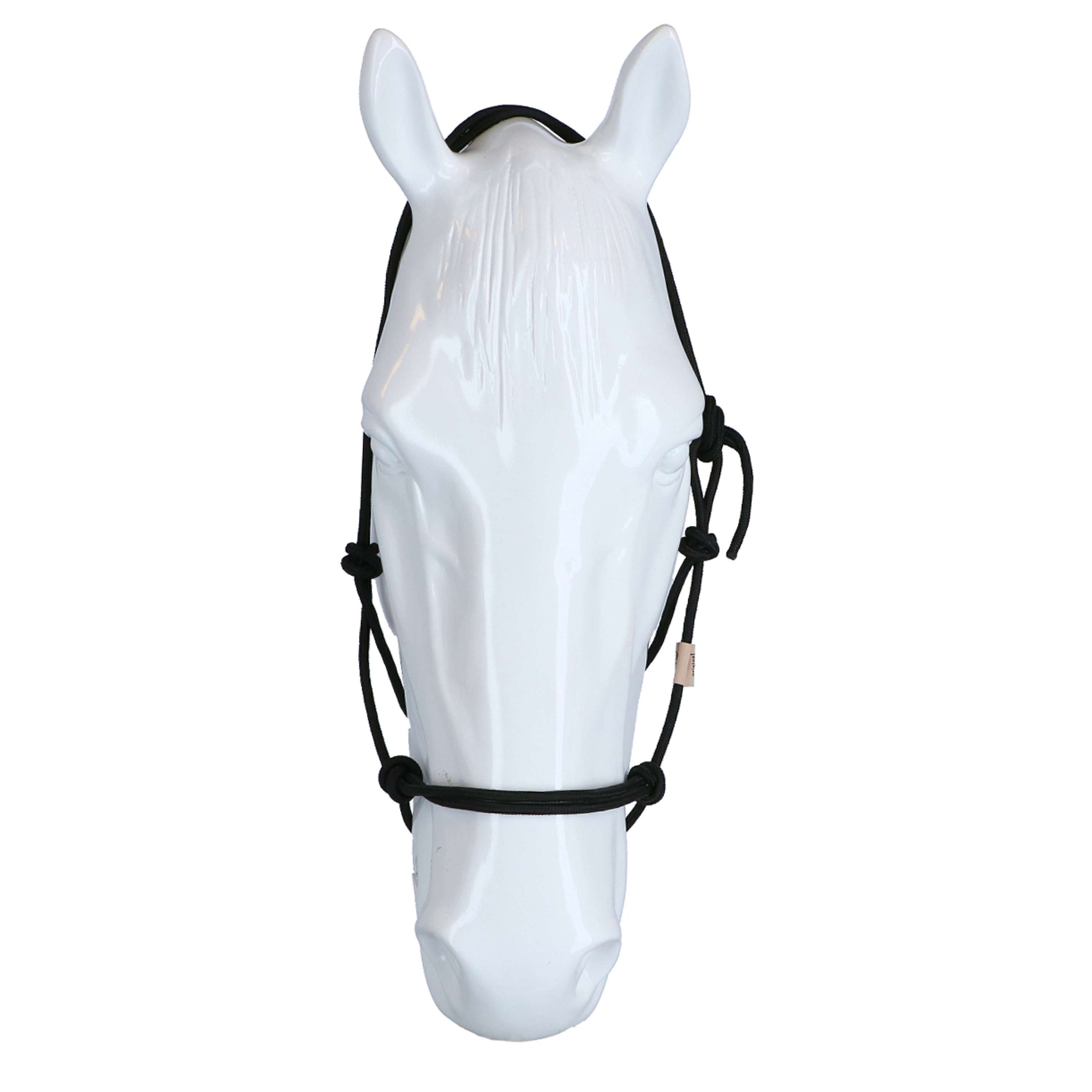 F.R.A. Reit- Ausbildungshalfte Babia Nylon Schwarz F.R.A. Reit- Ausbildungshalfte Babia Nylon Schwarz