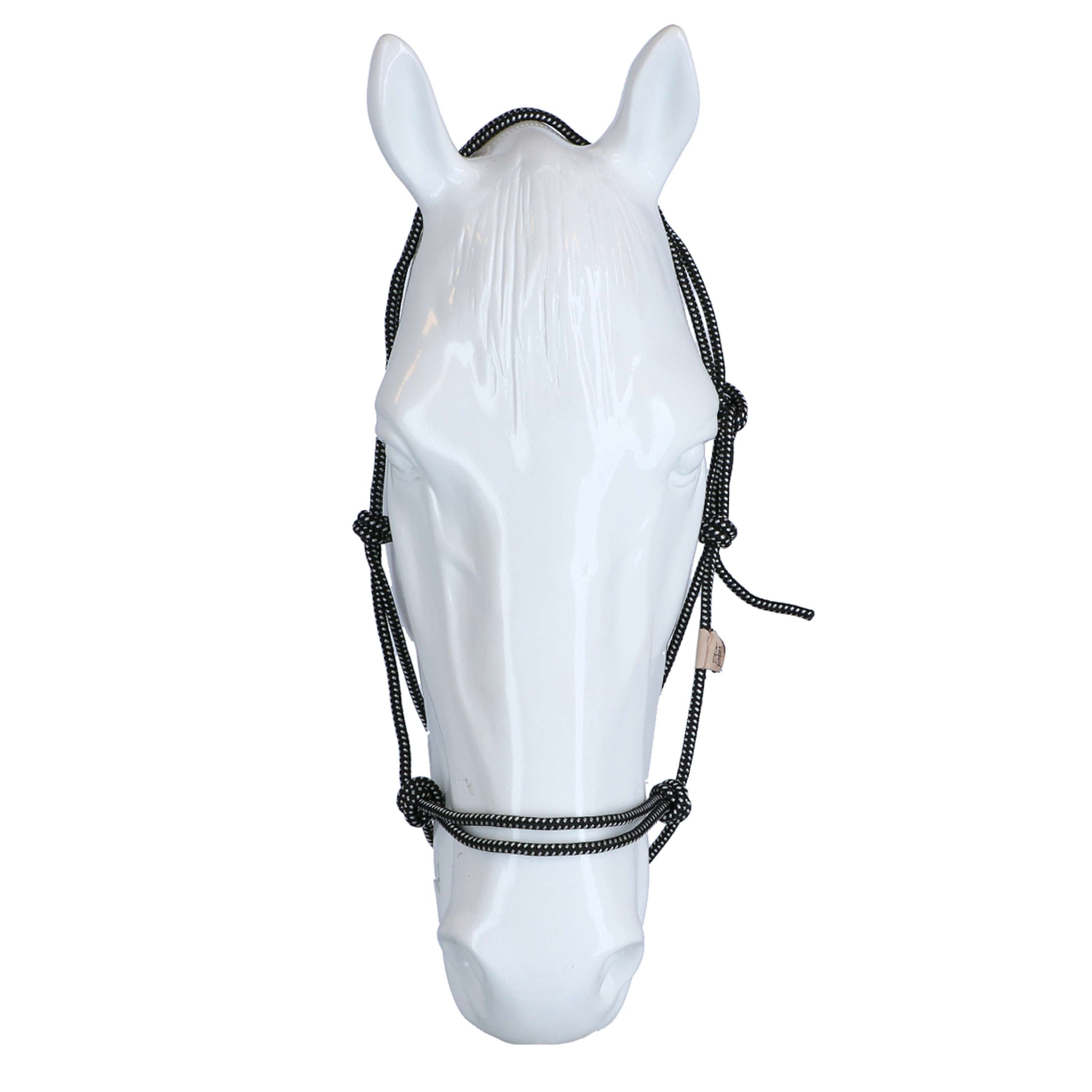 F.R.A. Reit- Ausbildungshalfte Babia Ruchi Collection Nylon Schwarz/Weiß F.R.A. Reit- Ausbildungshalfte Babia Ruchi Collection Nylon Schwarz/Weiß