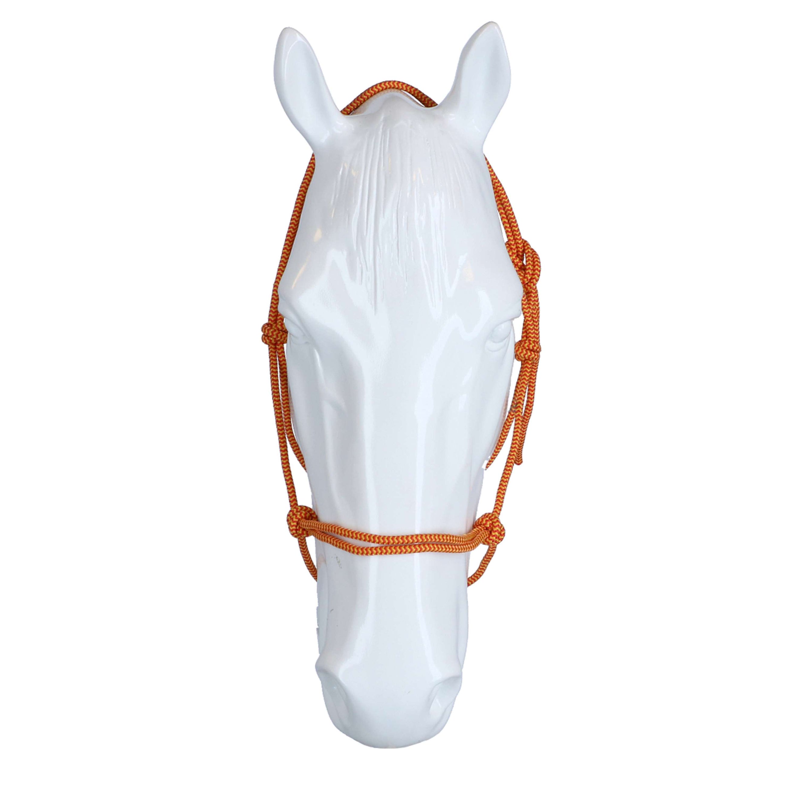 F.R.A. Reit- Ausbildungshalfte Babia Ruchi Collection Nylon Rot/Gelb F.R.A. Reit- Ausbildungshalfte Babia Ruchi Collection Nylon Rot/Gelb