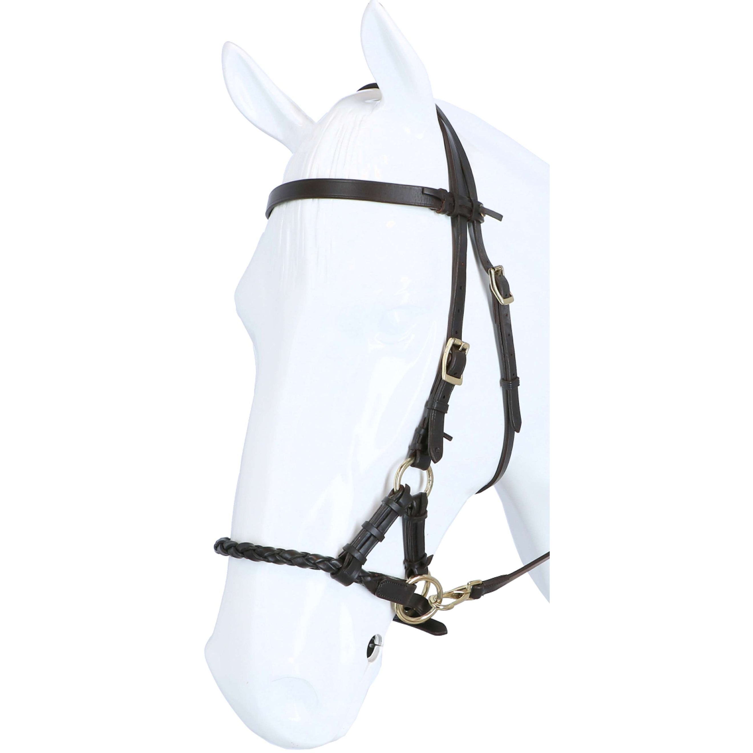 F.R.A. Gebisslose Trense Pariba Side Pull Lederen Zügel Braun/Brass Metal F.R.A. Gebisslose Trense Pariba Side Pull Lederen Zügel Braun/Brass Metal