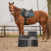 Excellent Aufstiegshilfe 3 Stufen Schwarz