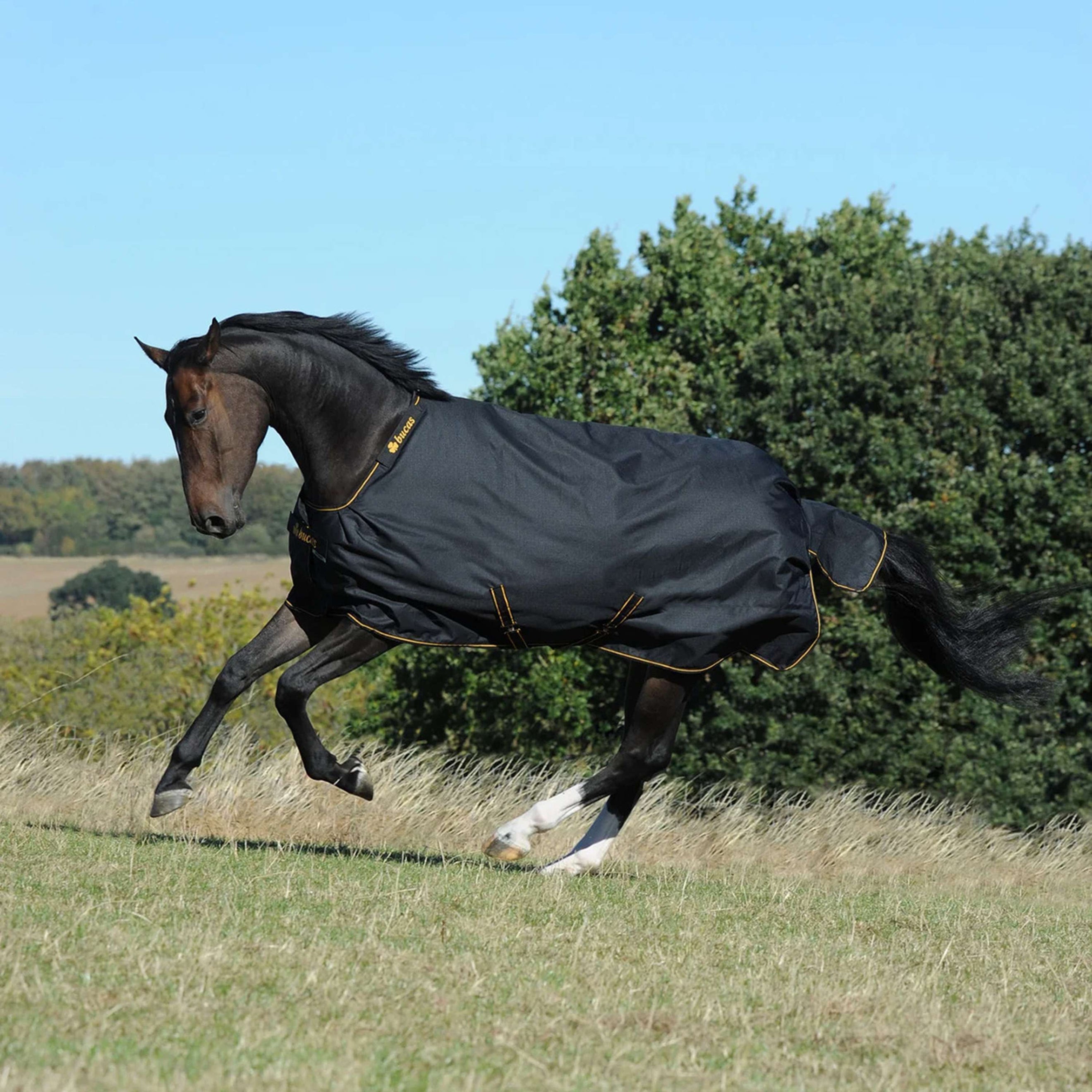 Bucas Irish Turnout Big Neck 50g Schwarz/Gold