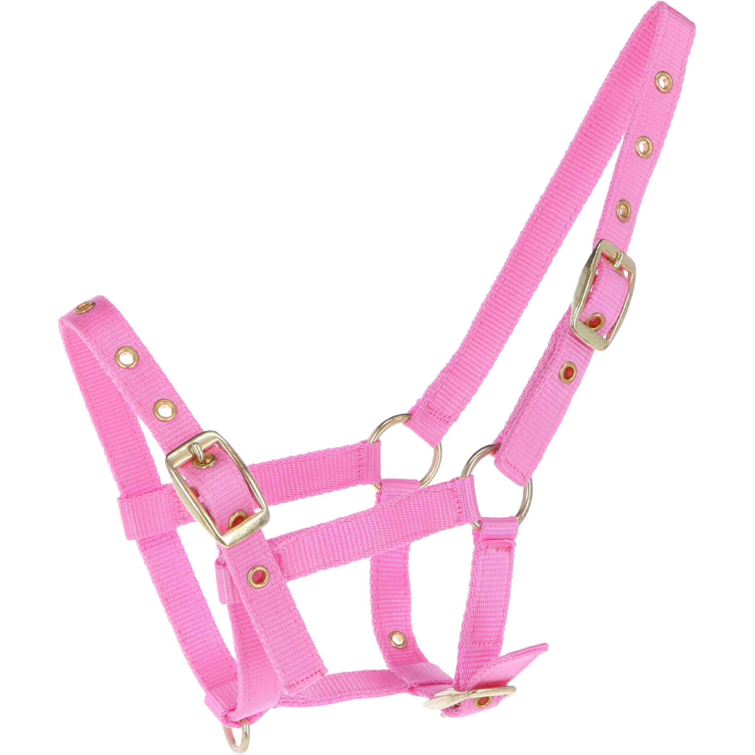 HB Fohlenhalfter Nylon Rosa HB Fohlenhalfter Nylon Rosa