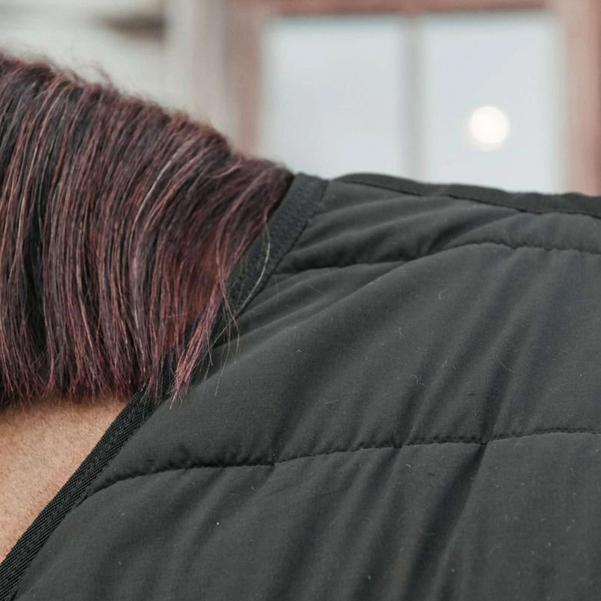 Kentucky Unterdecken Skin Friendly 300g Schwarz