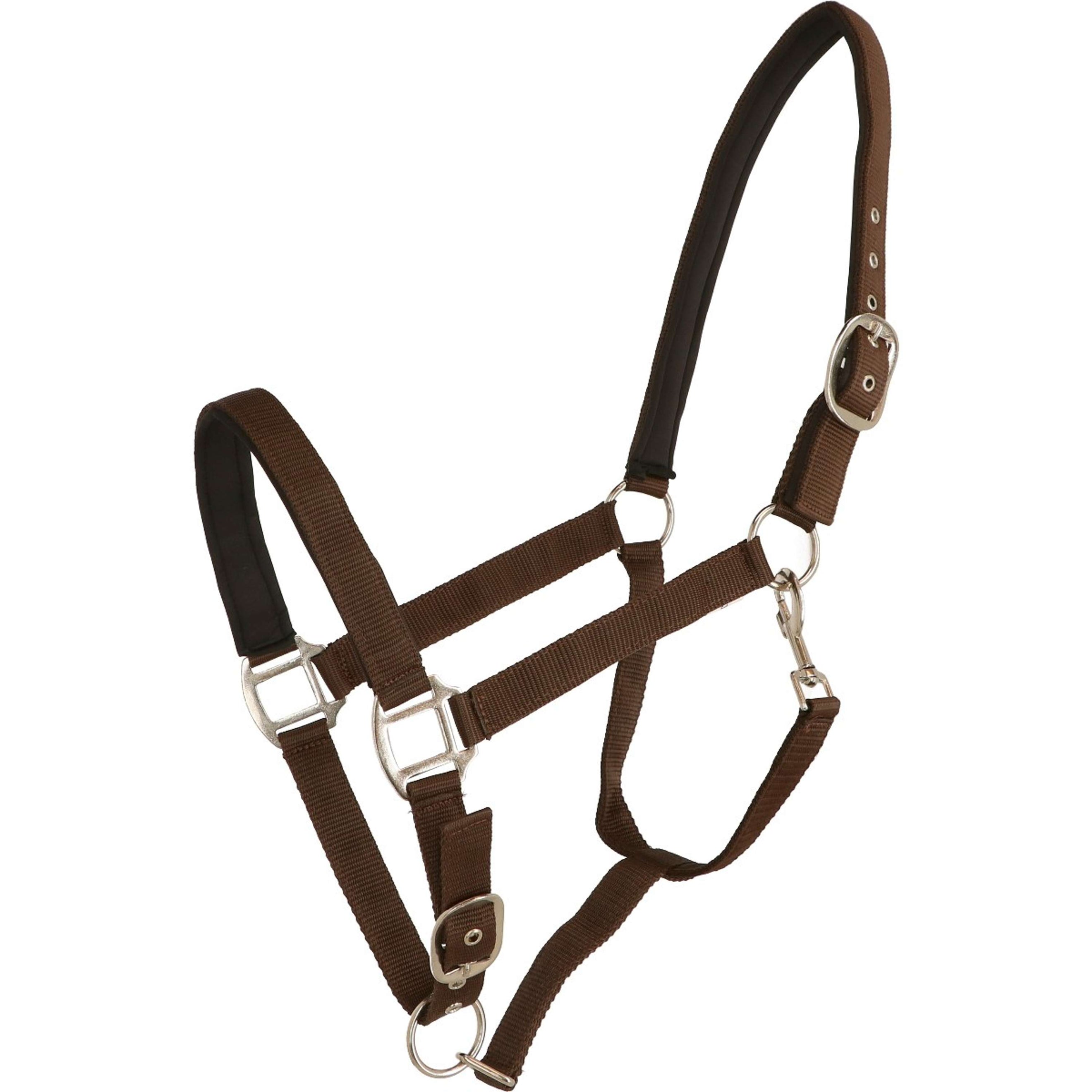 HKM Halfter Charming Weich Unterlegt Braun HKM Halfter Charming Weich Unterlegt Braun