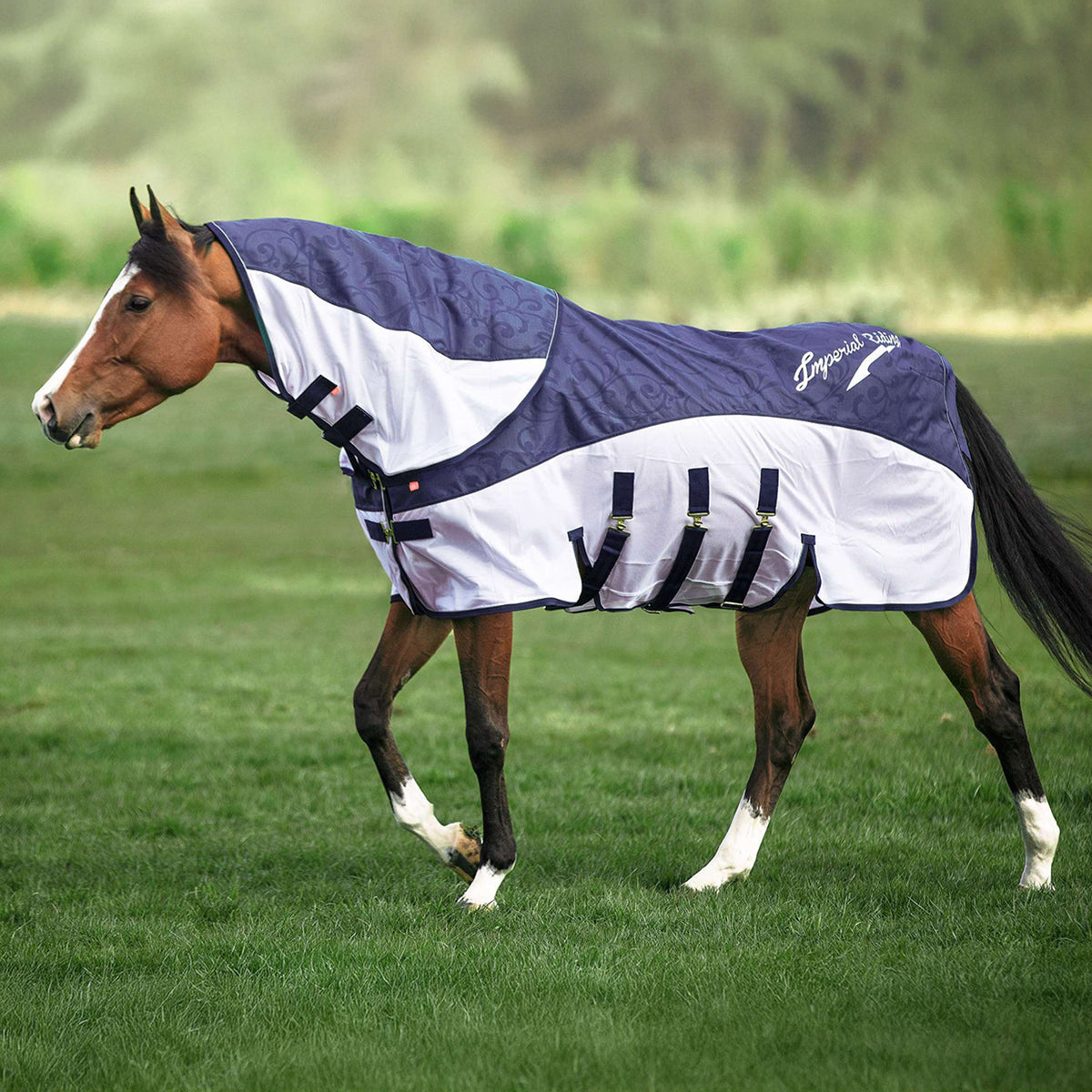Imperial Riding Fliege und Regenschutzdecke IRHSuper-Dry Navy