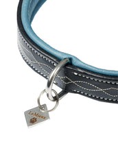 LeMieux Halsband Windsor Padded Schwarz/Blau