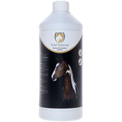 Excellent Equi Total Balance