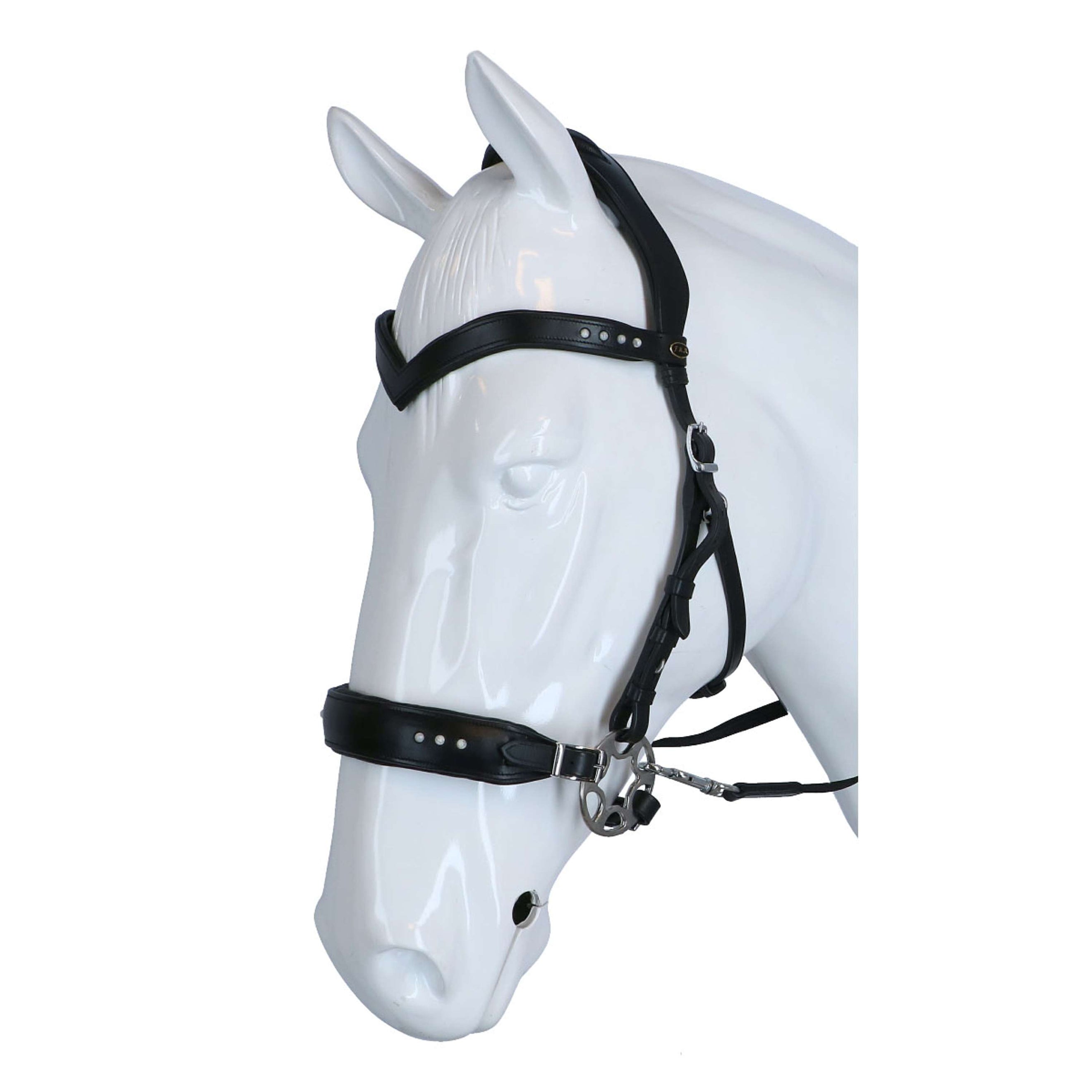 F.R.A. Bridon Glory Hackamore Cuir avec Perles Schwarz F.R.A. Bridon Glory Hackamore Cuir avec Perles Schwarz