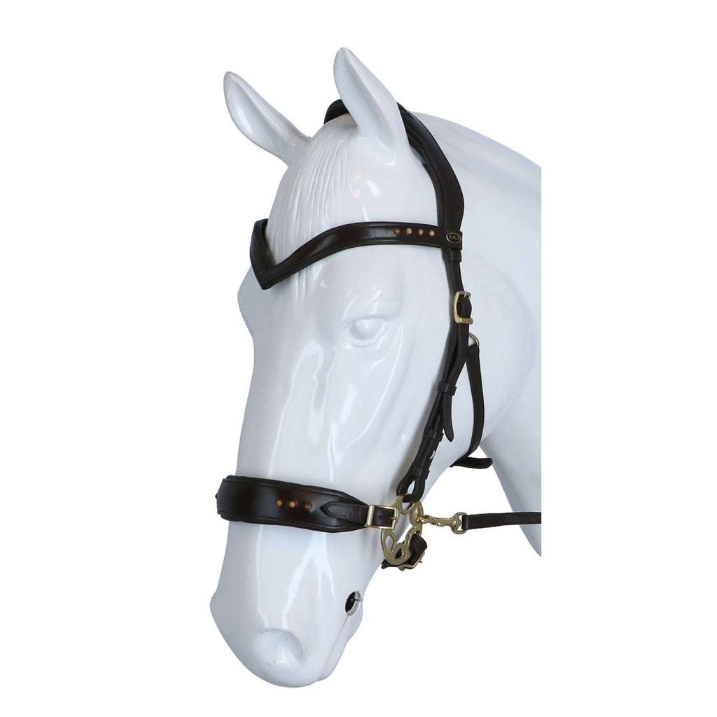 F.R.A. Trense Glory Hackamore Leder mit Perlen Braun