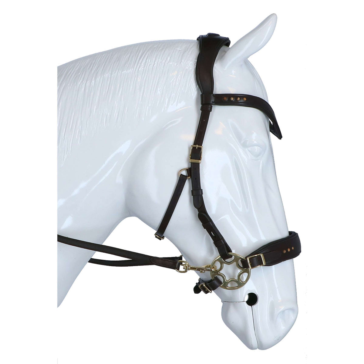 F.R.A. Trense Glory Hackamore Leder mit Perlen Braun