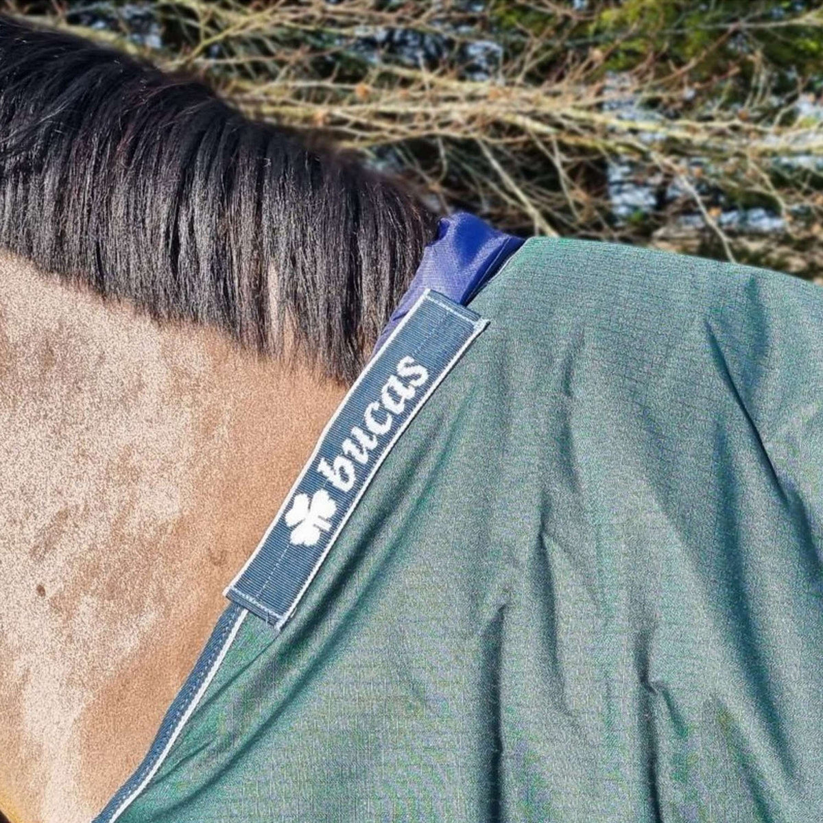 Bucas Widerristschutz Blau