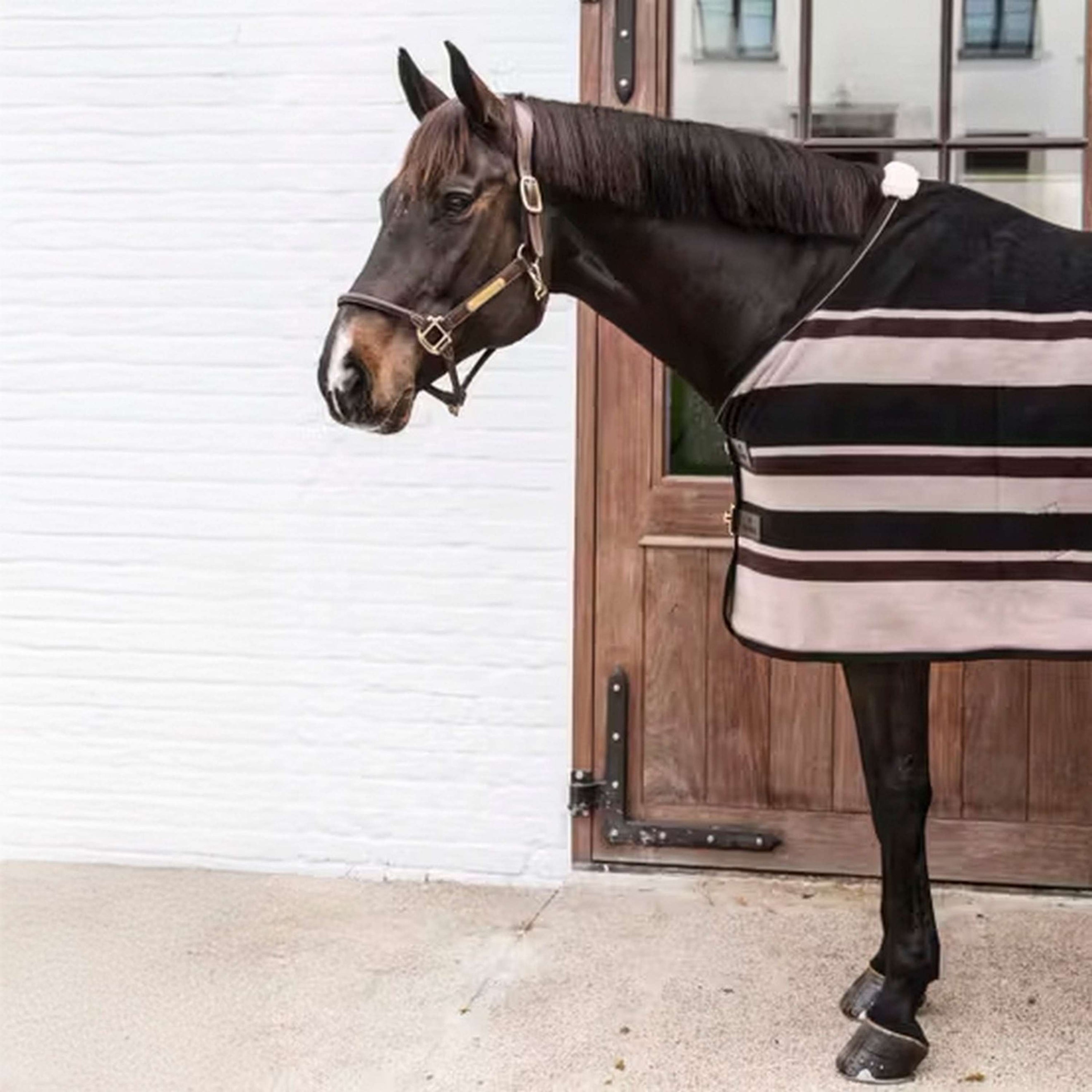 Kentucky Abschwitzdecke Heavy Braun/Beige Kentucky Abschwitzdecke Heavy Braun/Beige