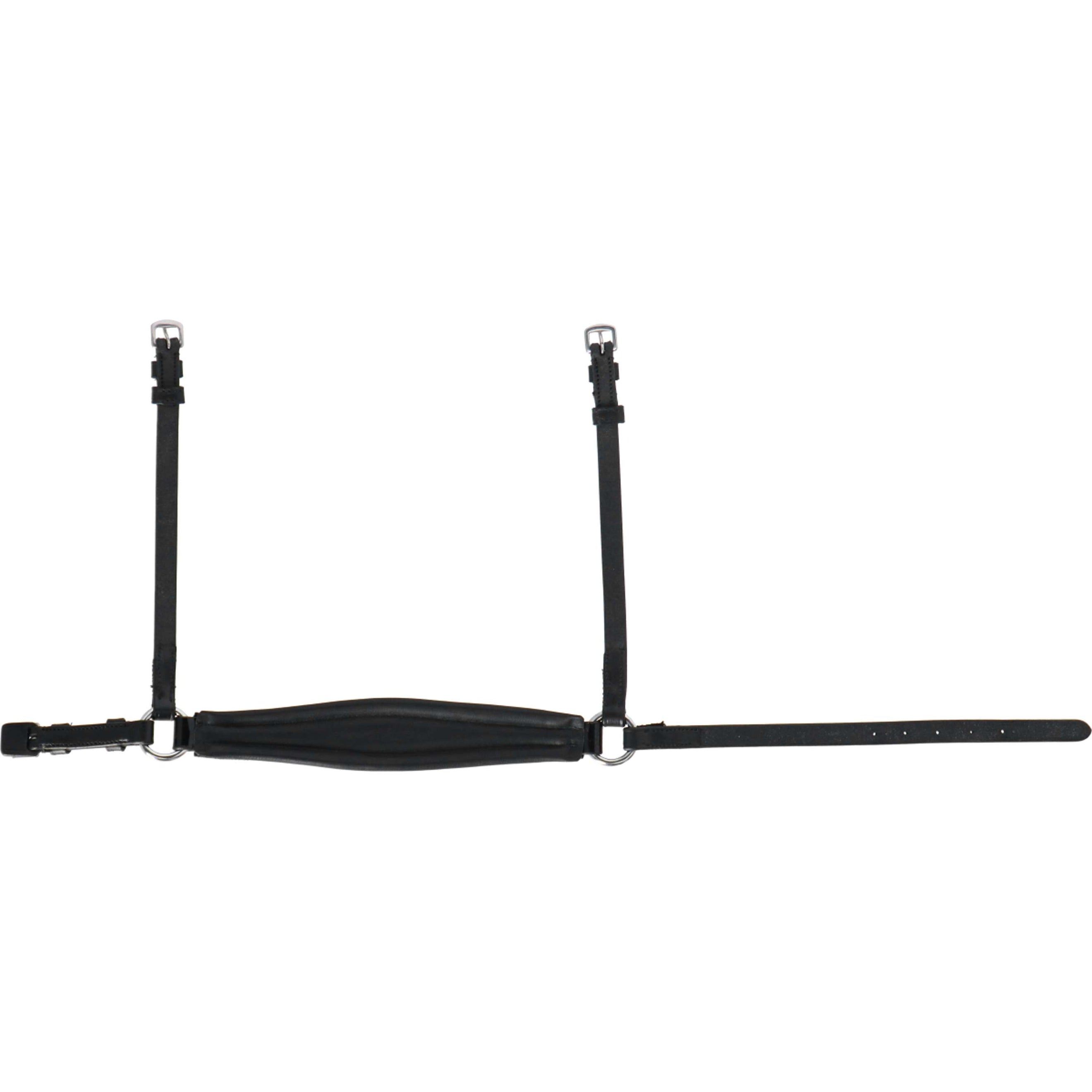 HB Reithalfter Showtime Abrichtung Schwarz/Silber HB Reithalfter Showtime Abrichtung Schwarz/Silber