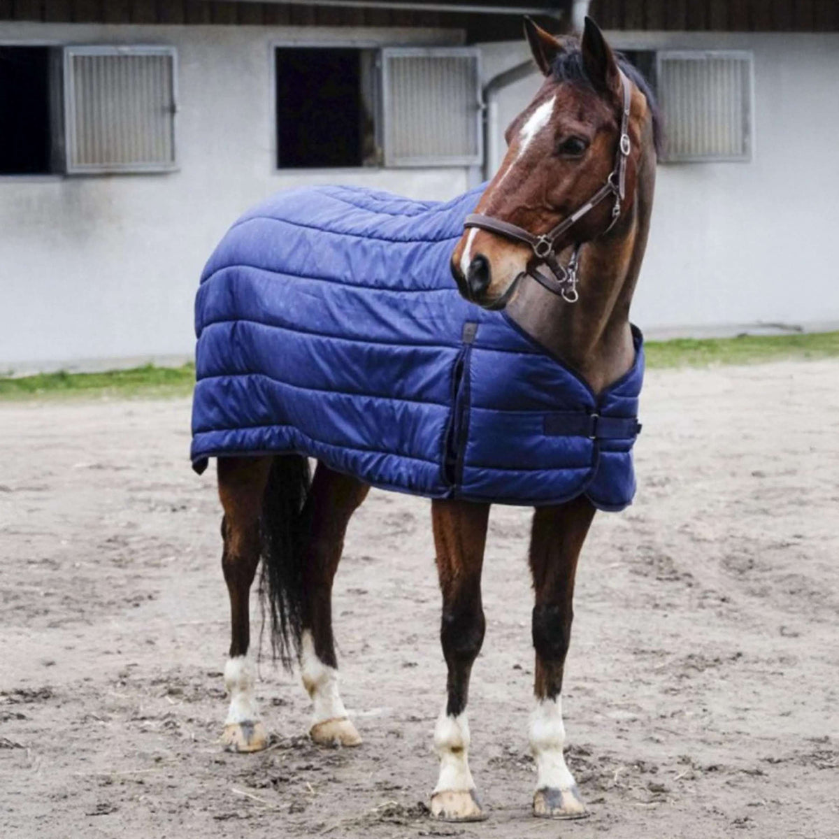 EQUITHÈME Unterdecken Classic 300g Navy