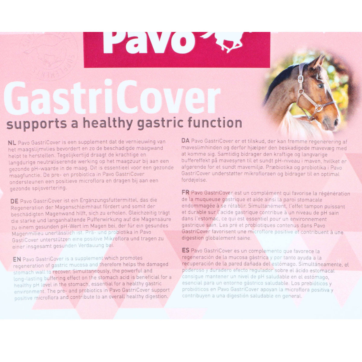 Pavo GastriCover