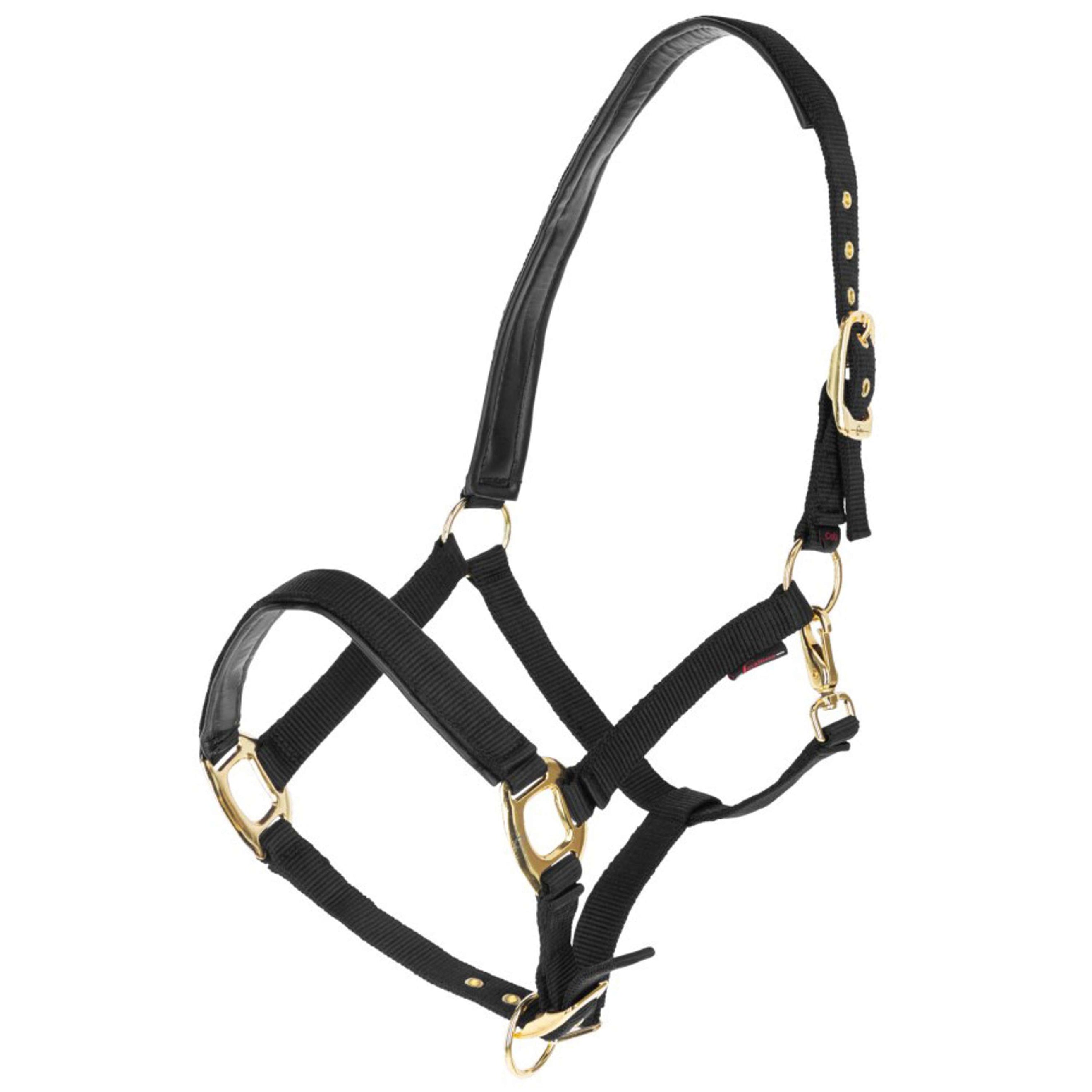 Covalliero Halfter TopLine Schwarz Covalliero Halfter TopLine Schwarz