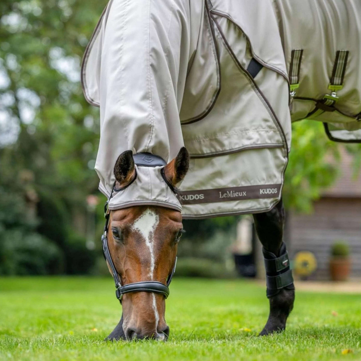 LeMieux Ekzemerdecke Kudos Sweet Itch Stein