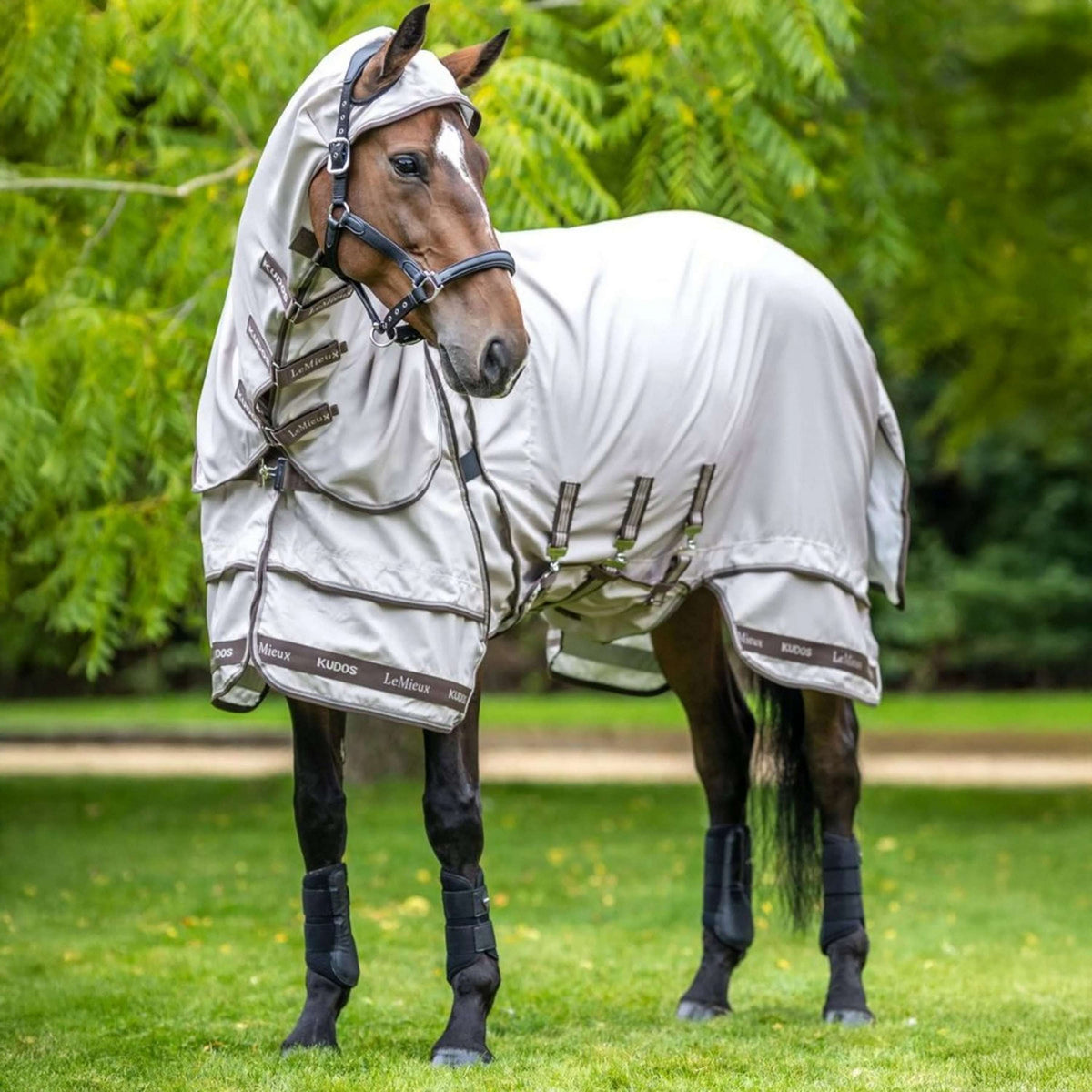LeMieux Ekzemerdecke Kudos Sweet Itch Stein