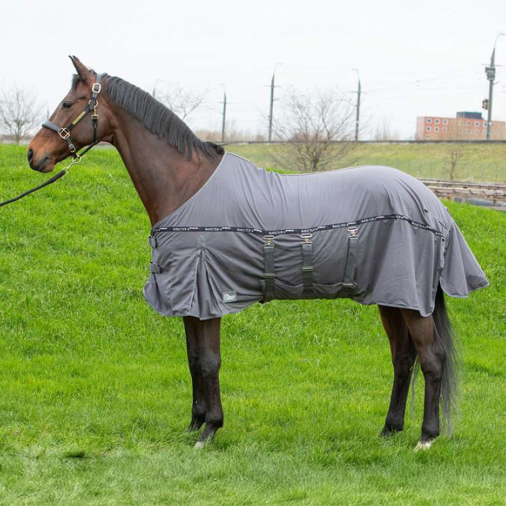 Harry's Horse Fliegendecke Mesh Pro Belly Grau
