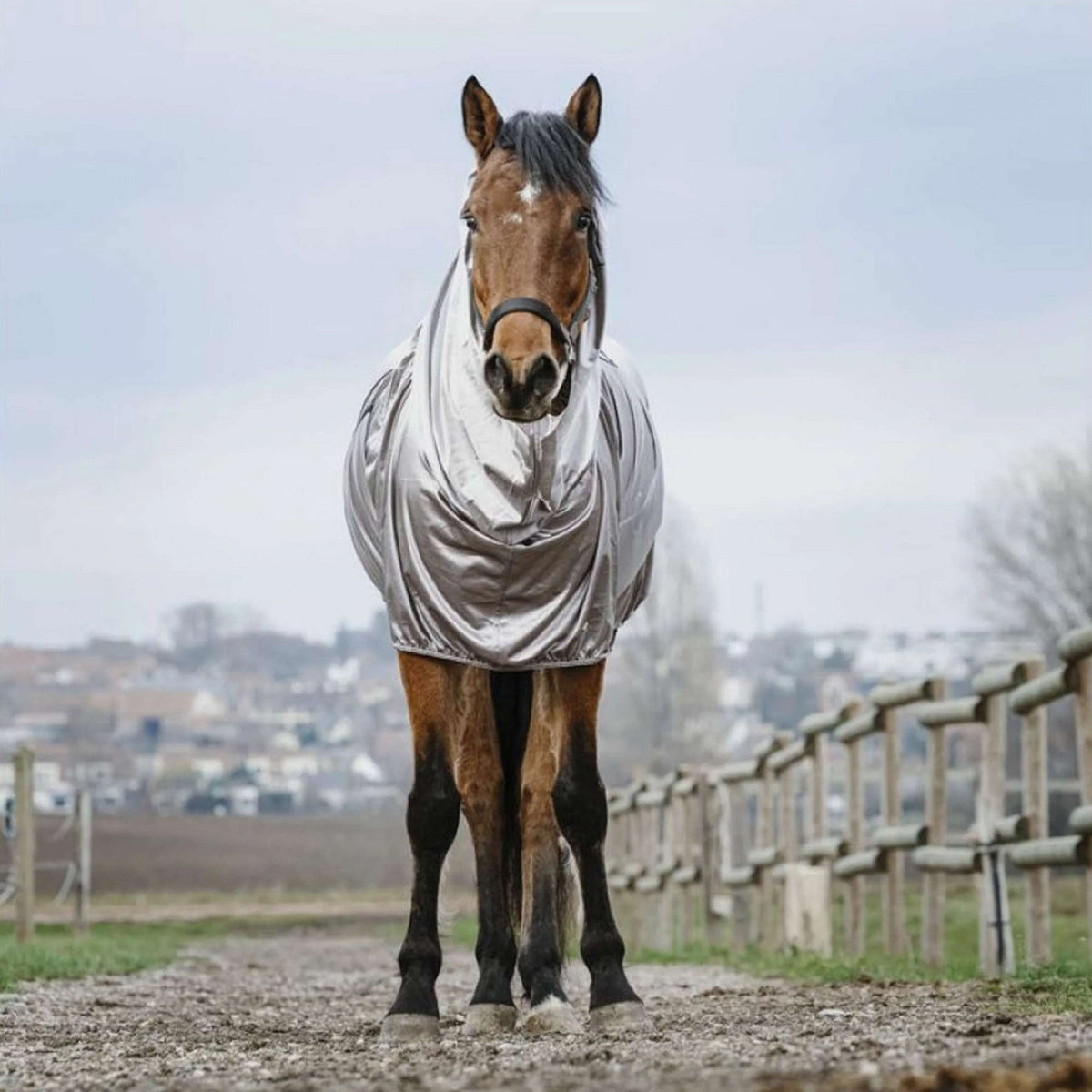 Riding World Ekzemerdecke Grau