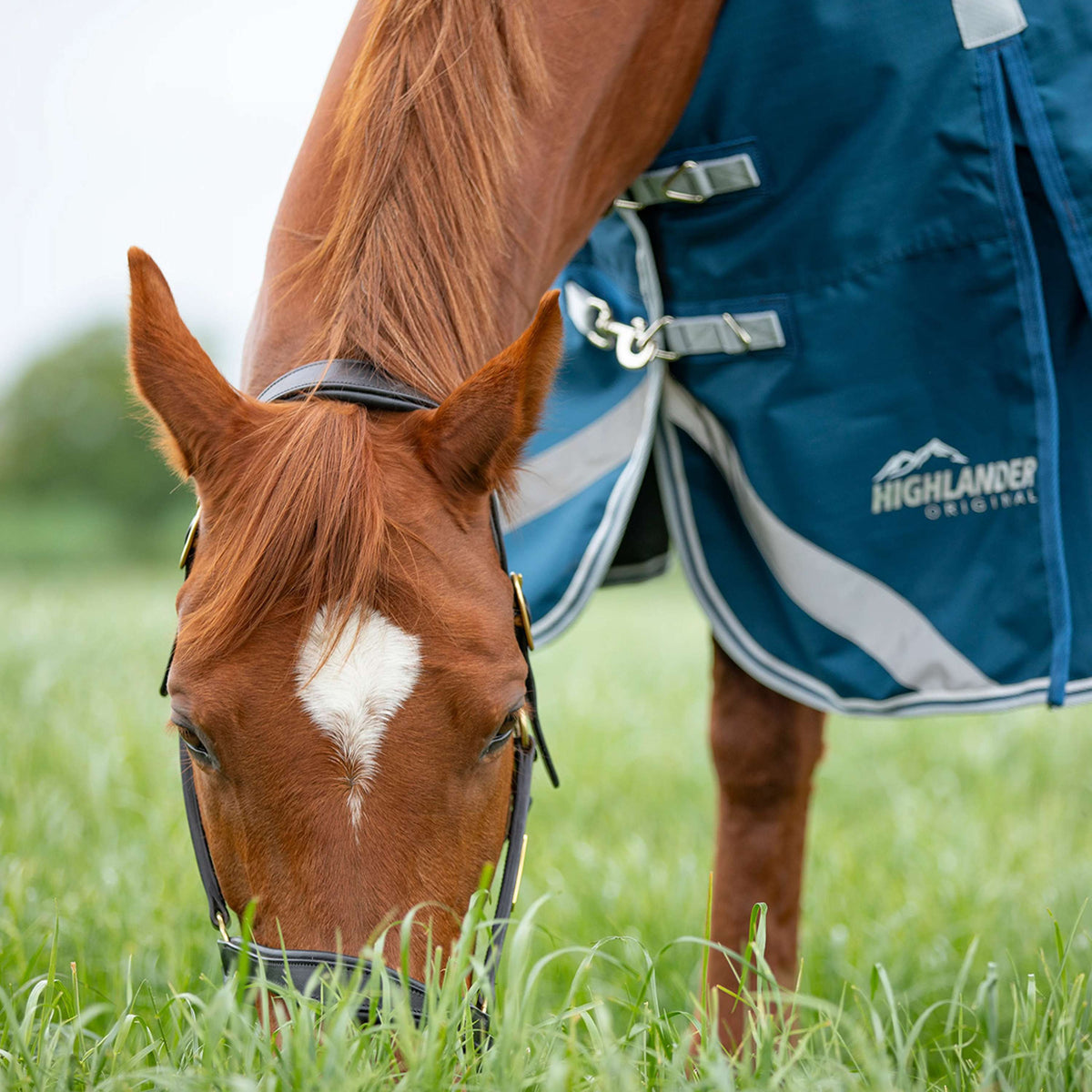 Shires Regendecke Original 50 Turnout mit Halsteil Ocean