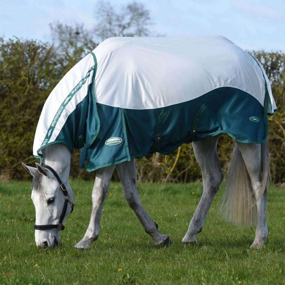WeatherBeeta Fliegendecke ComFiTec Green-Tec Airflow Mesh Combo Neck White/Dragonfly Blue