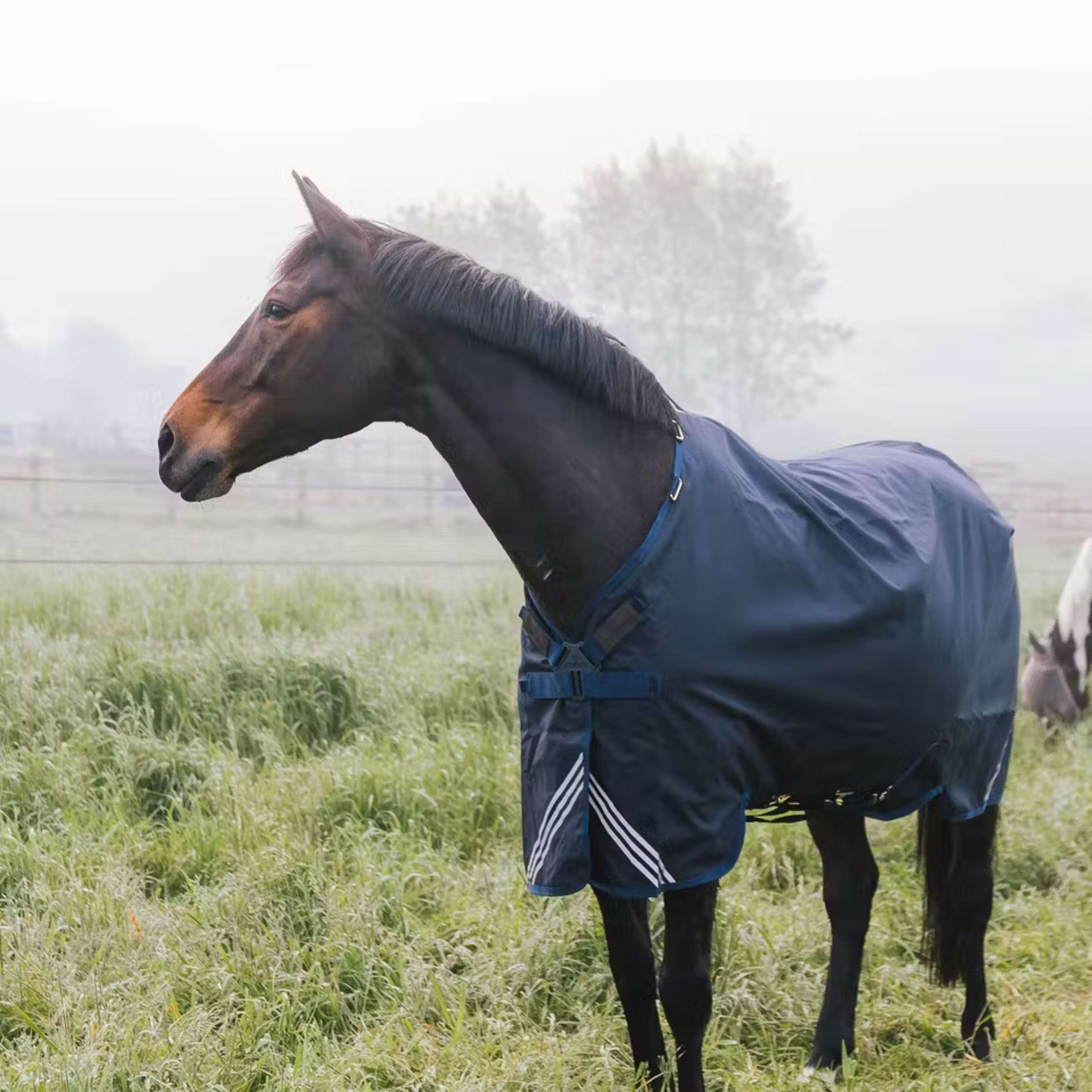 Kentucky Turnout Rug All Weather Comfort Waterproof 0g Navy
