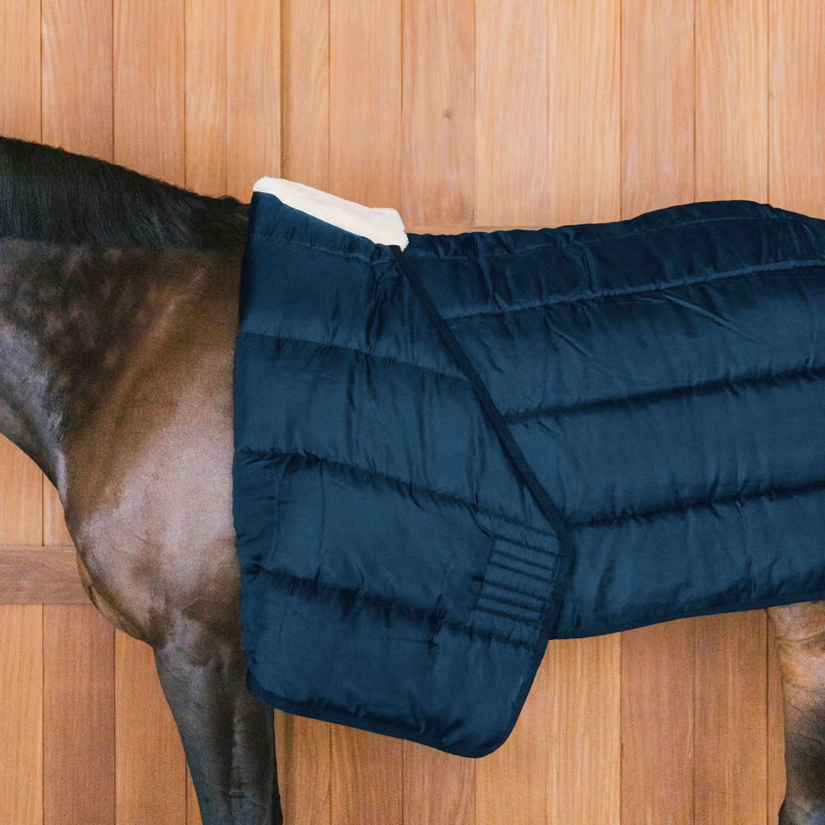 Kentucky Turnout Rug Comfort Liner 200g Navy Kentucky Turnout Rug Comfort Liner 200g Navy