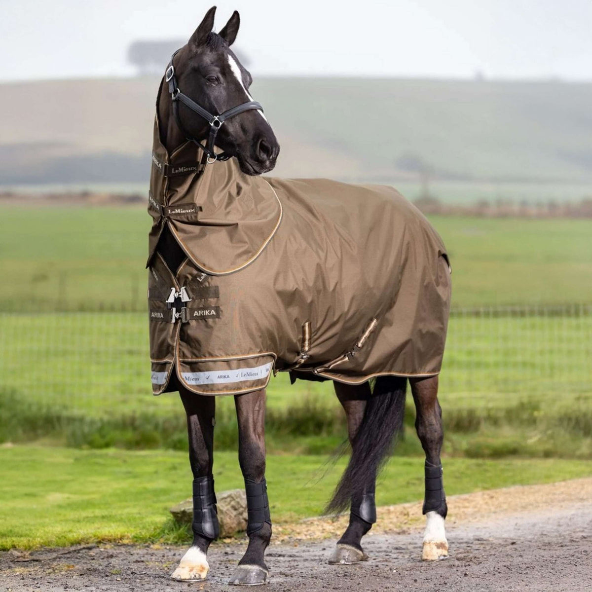 LeMieux Outdoordecke Arika 600D 0g Alpine