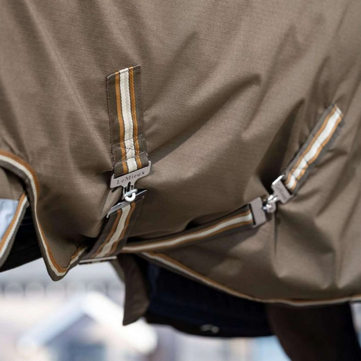 LeMieux Outdoordecke Arika 600D 0g Alpine