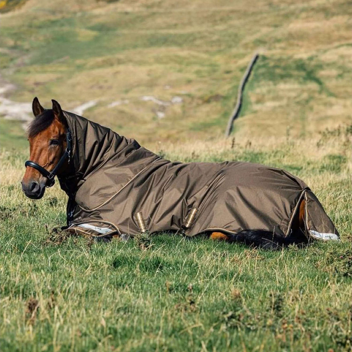 LeMieux Outdoordecke Arika 600D 100g Alpine