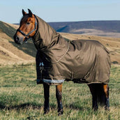 LeMieux Outdoordecke Arika 600D 100g Alpine