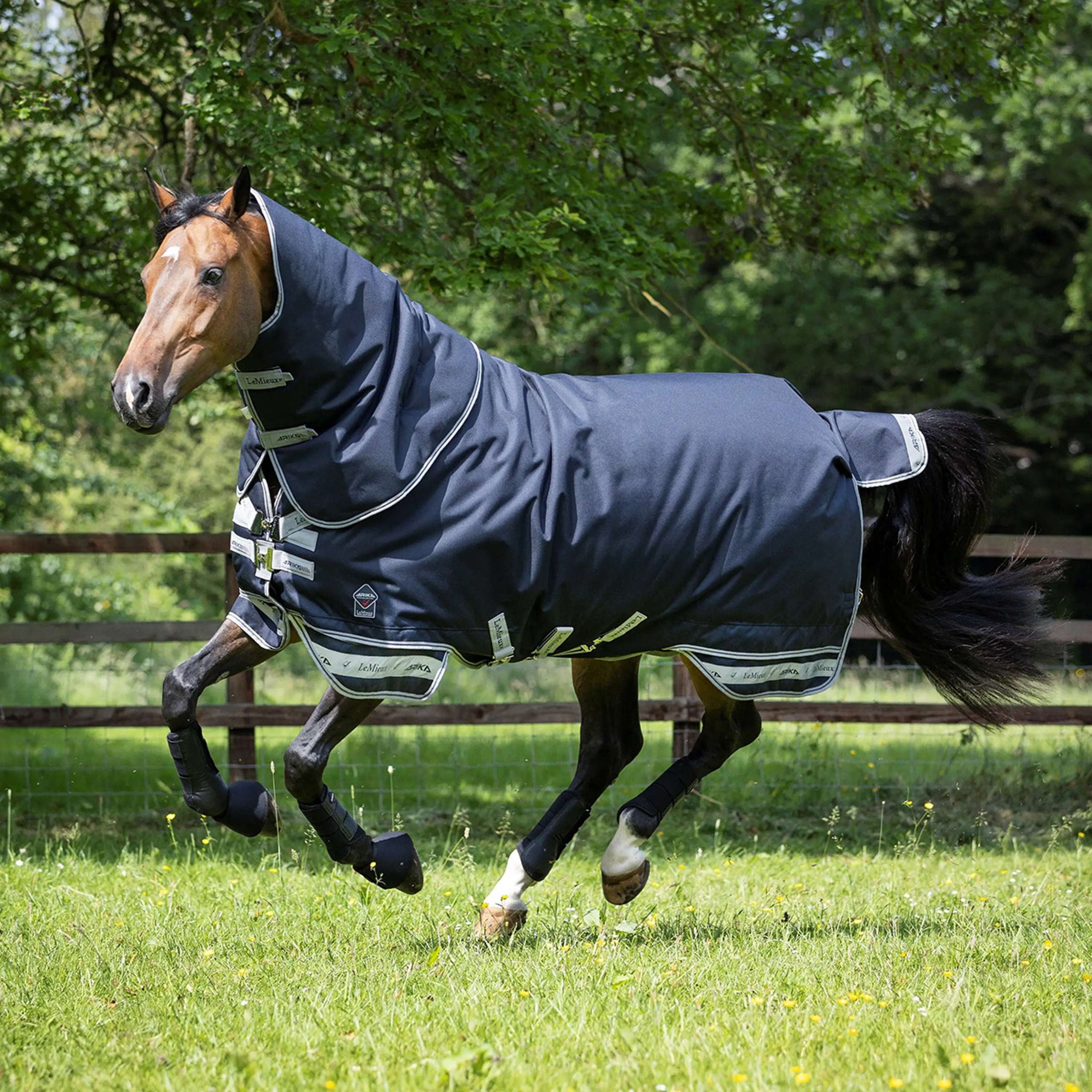 LeMieux Decke Arika Storm-Tek Turnout 100g Navy