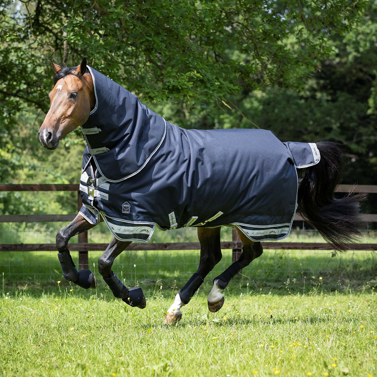 LeMieux Decke Arika Storm-Tek Turnout 200g Navy