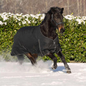 Waldhausen Outdoordecke Nordic 300g Schwarz