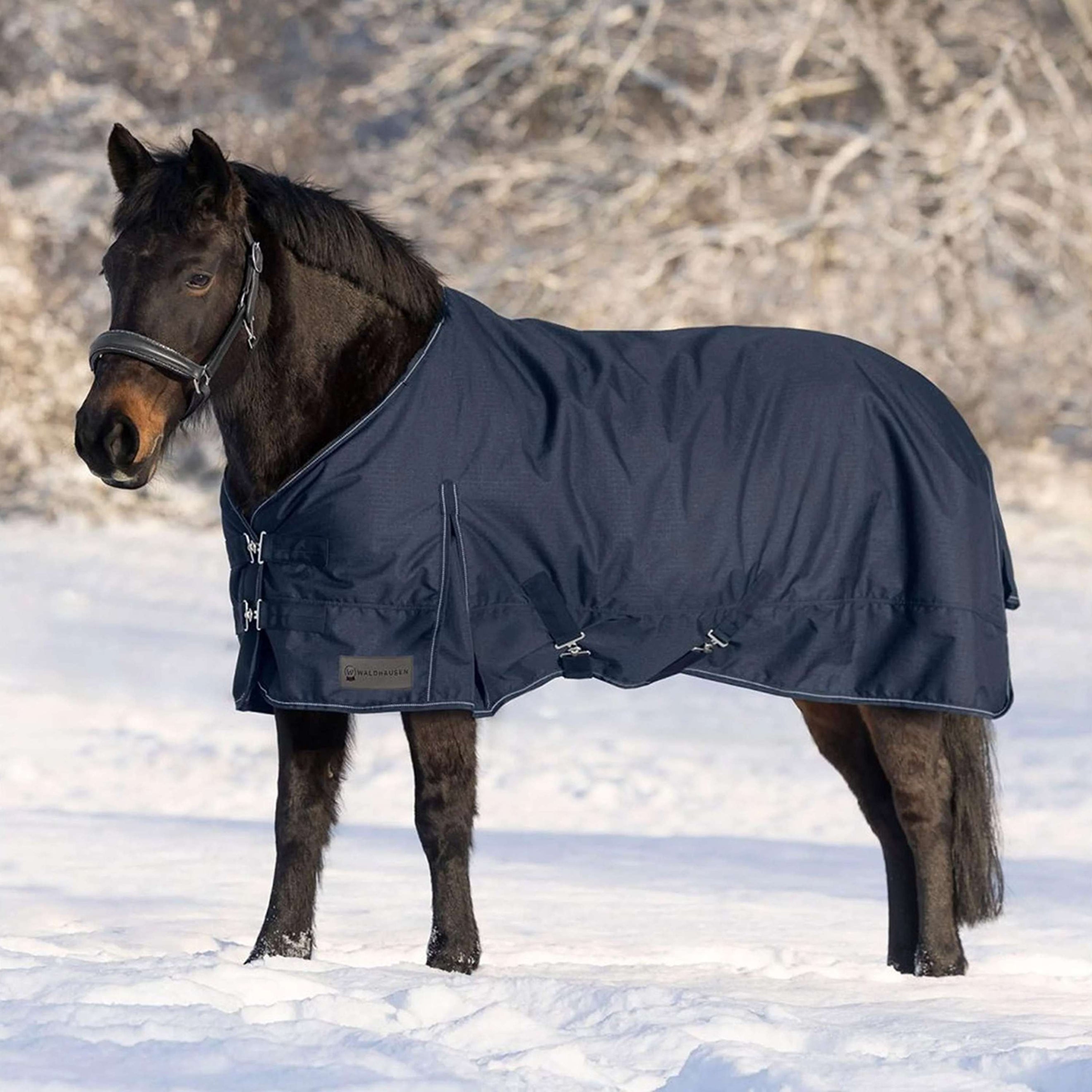 Waldhausen Outdoordecke Nordic 200g Nachtblau