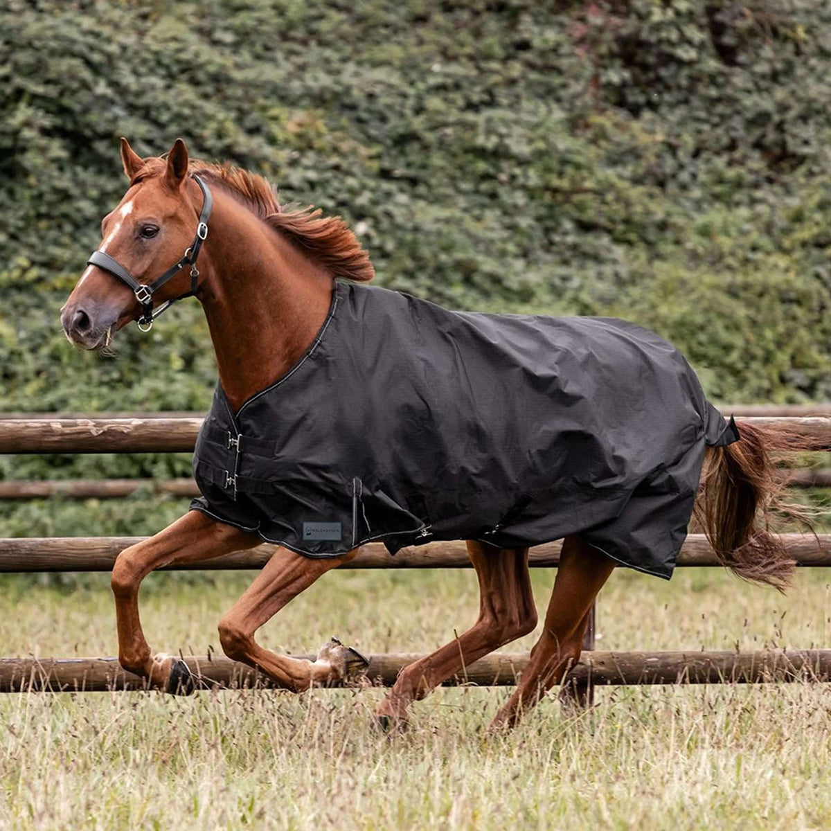 Waldhausen Outdoordecke Nordic 100g Schwarz