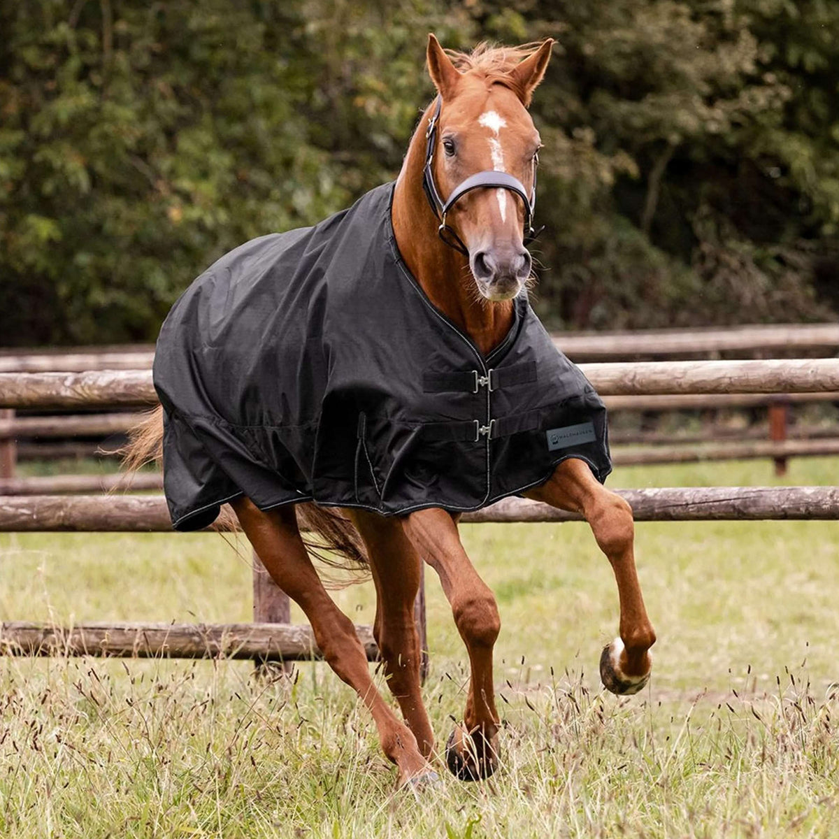 Waldhausen Outdoordecke Nordic 100g Schwarz