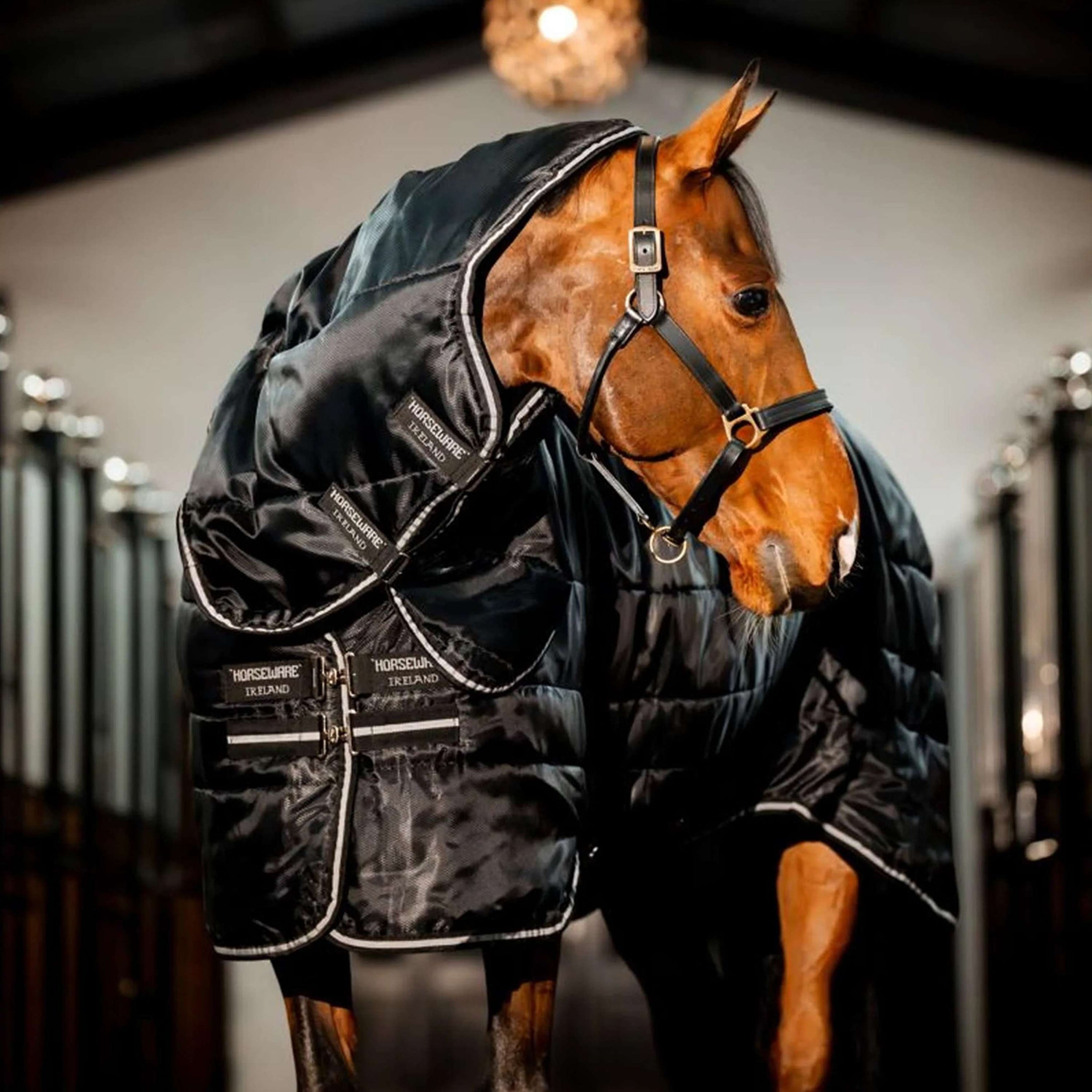 Horseware Easy-Layer Stable Plus Heavy 400g Schwarz/Schwarz