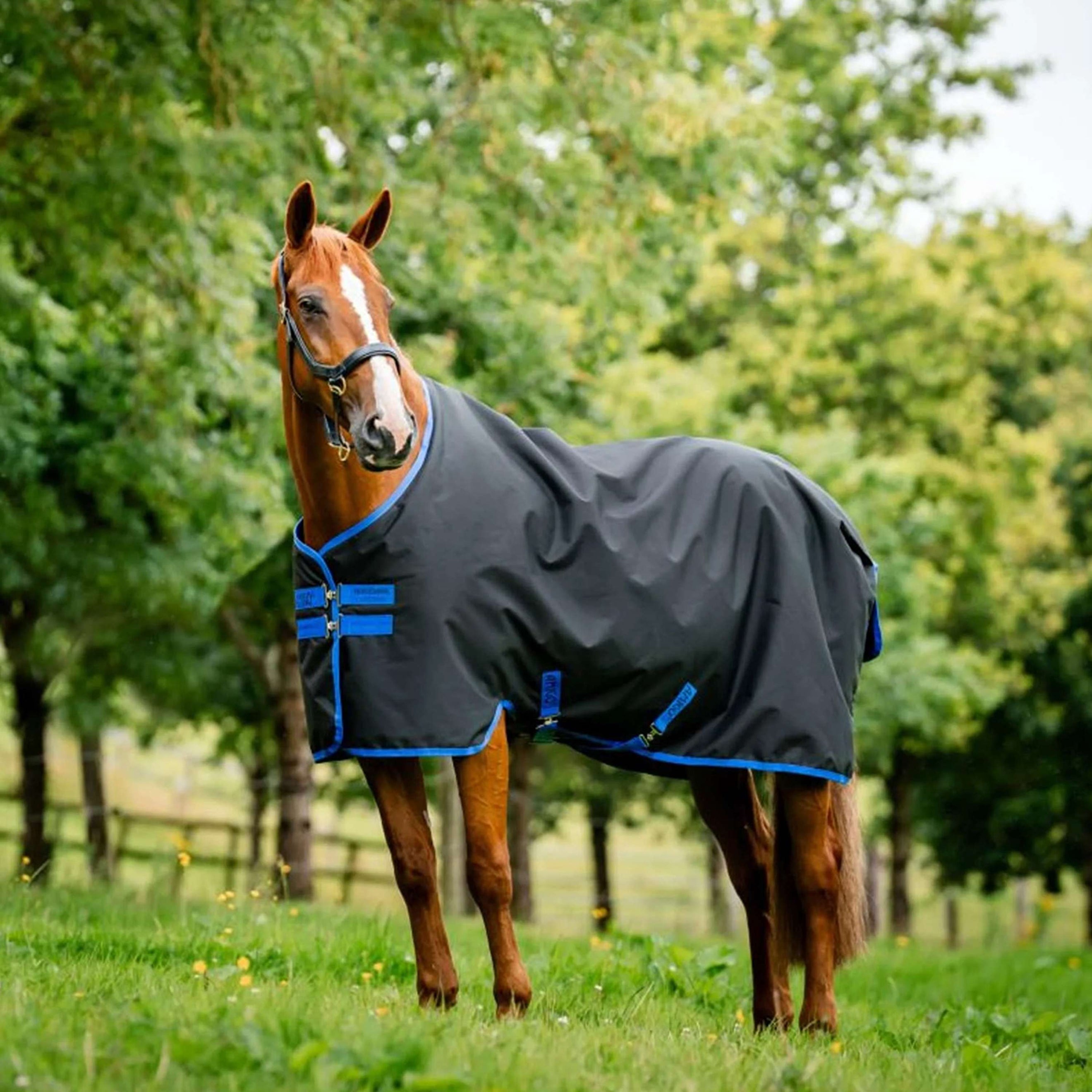 Amigo Ripstop 900D 50g Fleece Lined Schwarz/Blau