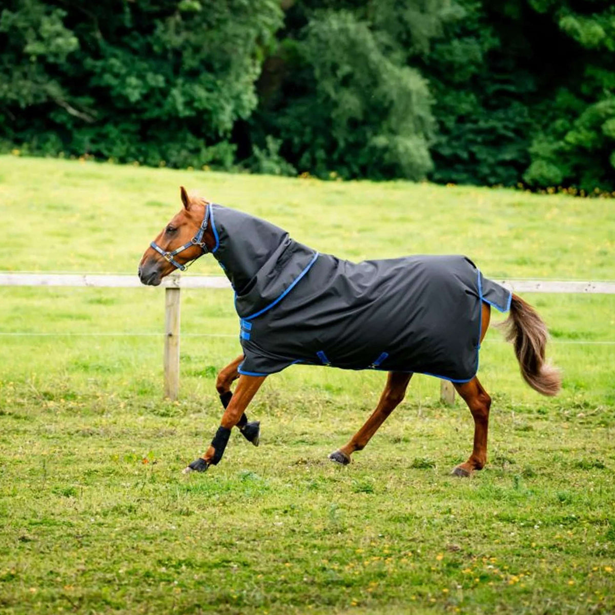 Amigo Ripstop 900D Plus 100g Schwarz/Blau