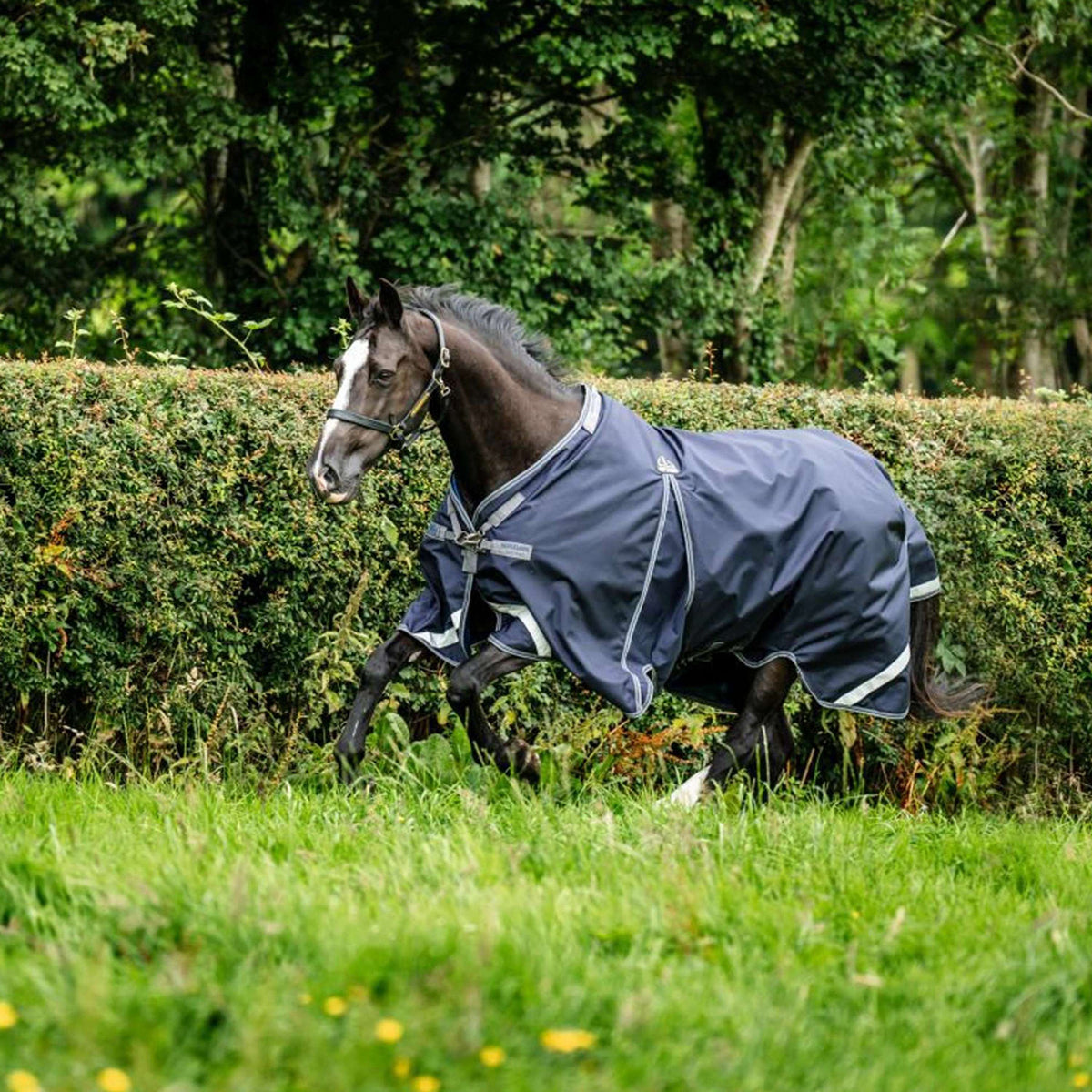 Rambo Optimo Original Turnout 0g Navy/Thunderstorm Grey